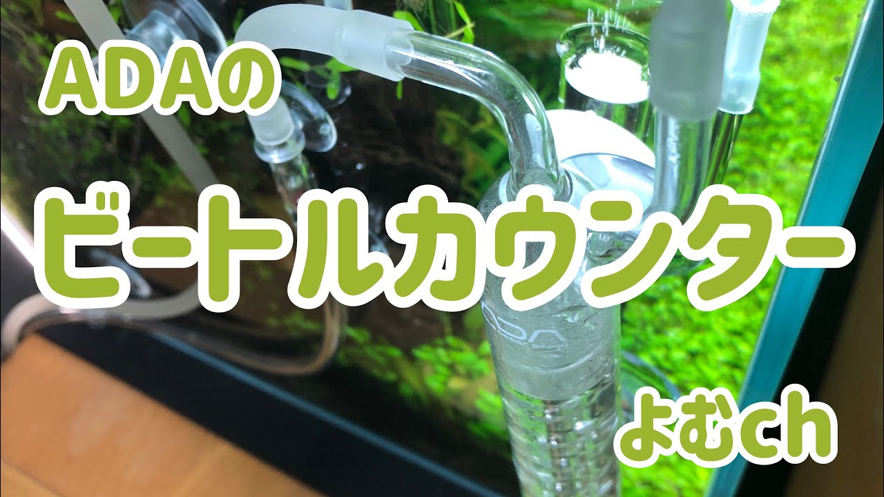 ADAのビートルカウンターを見てみよう！カボーションルビーと