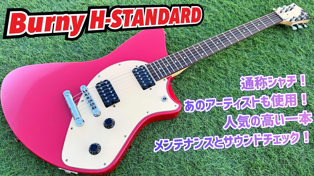 Burny H-Standard シャチの内部はものすごく…メンテナンスとサウンド