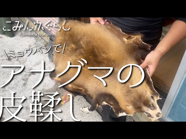毛皮】アナグマの皮鞣し【絨毯】 - YouTube