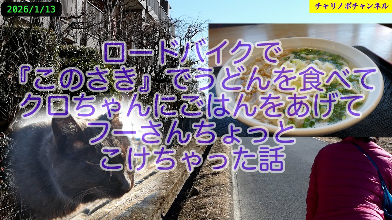 26B04 I bought a steering wheel cover for under 1000 yen. The