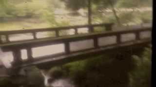 CD】Budamunk - The Awakening | Jazzy Sport Shimokitazawa