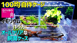 100均自作ケージで【イモリウムの作り方】両生類・爬虫類に最適な