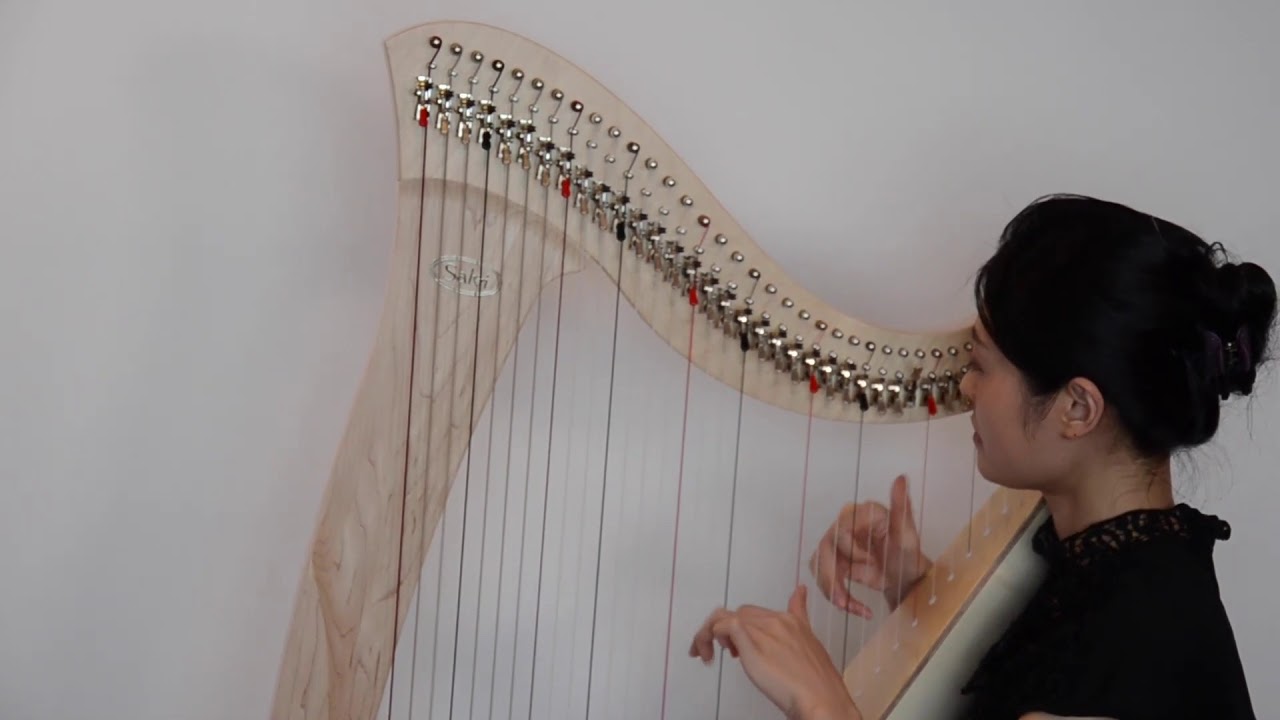 3年保証】 Salvi Harps MIA ～34弦のスタンダードモデル～ | 銀座