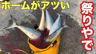 The biggest catch ever] Home is covered in bait after a long time