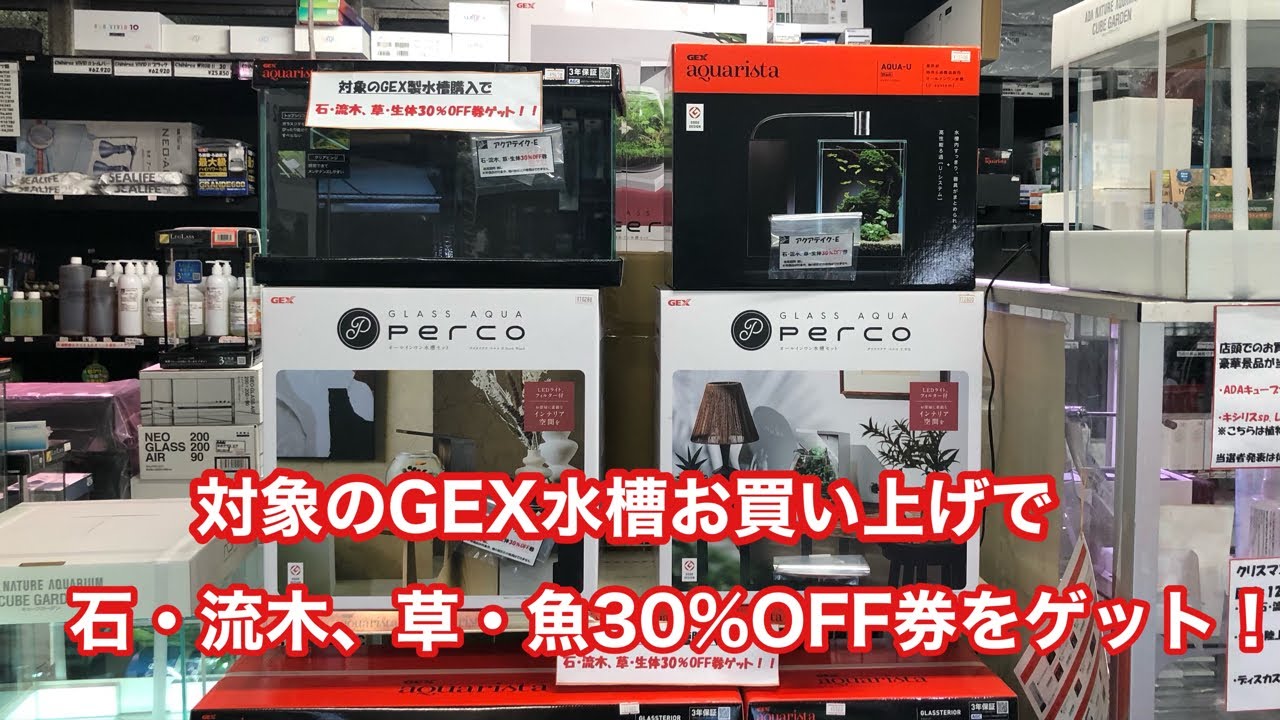 対象のGEX水槽購入で割引券をゲット！ - YouTube