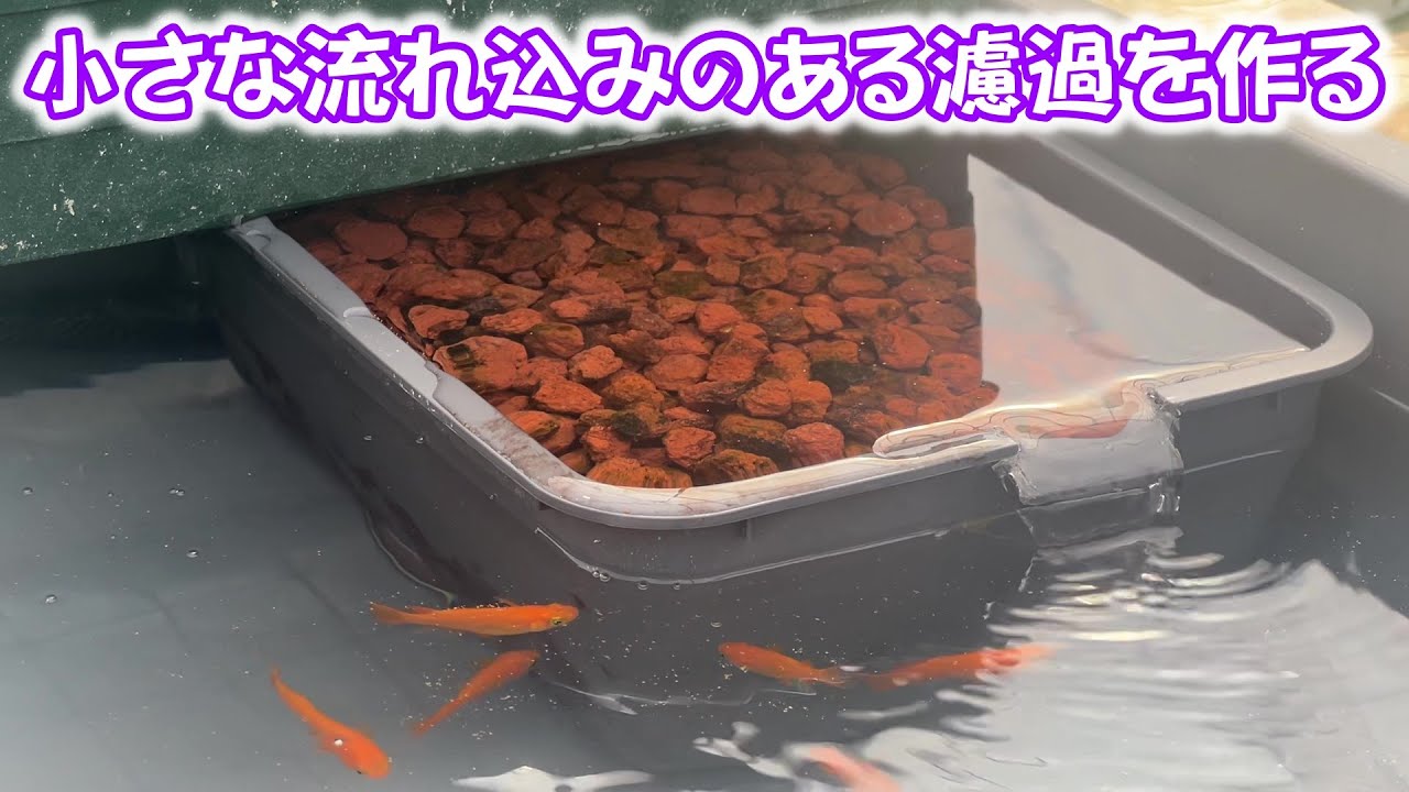 Medaka] A small filtration system made with NV Box 22 and a square