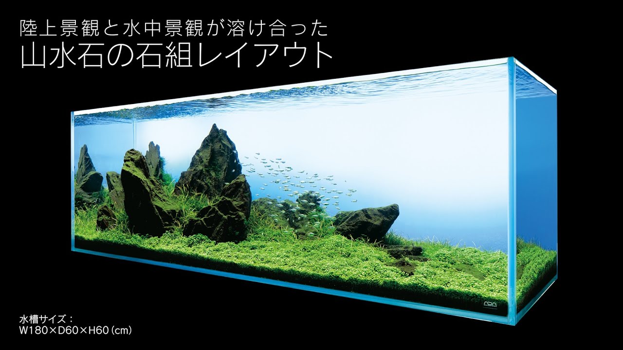 ADAview] AJ229連動-180cm水槽レイアウト 山水石石組編 - YouTube