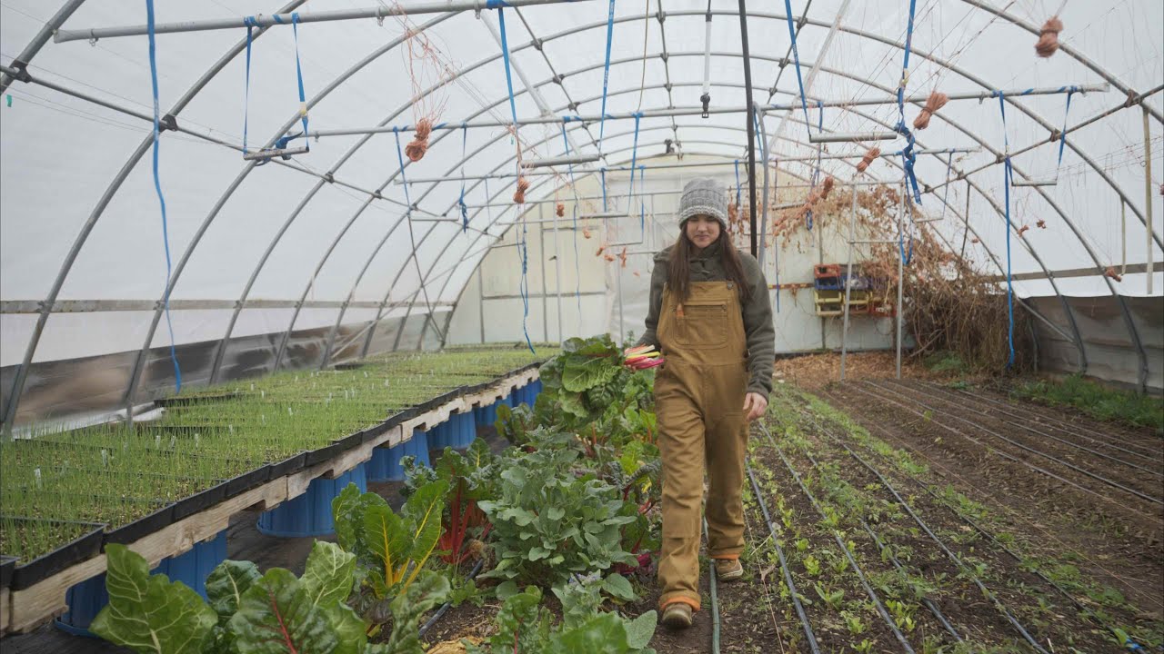 ウィメンズ・アイアン・フォージ・フリースラインド・ビブ