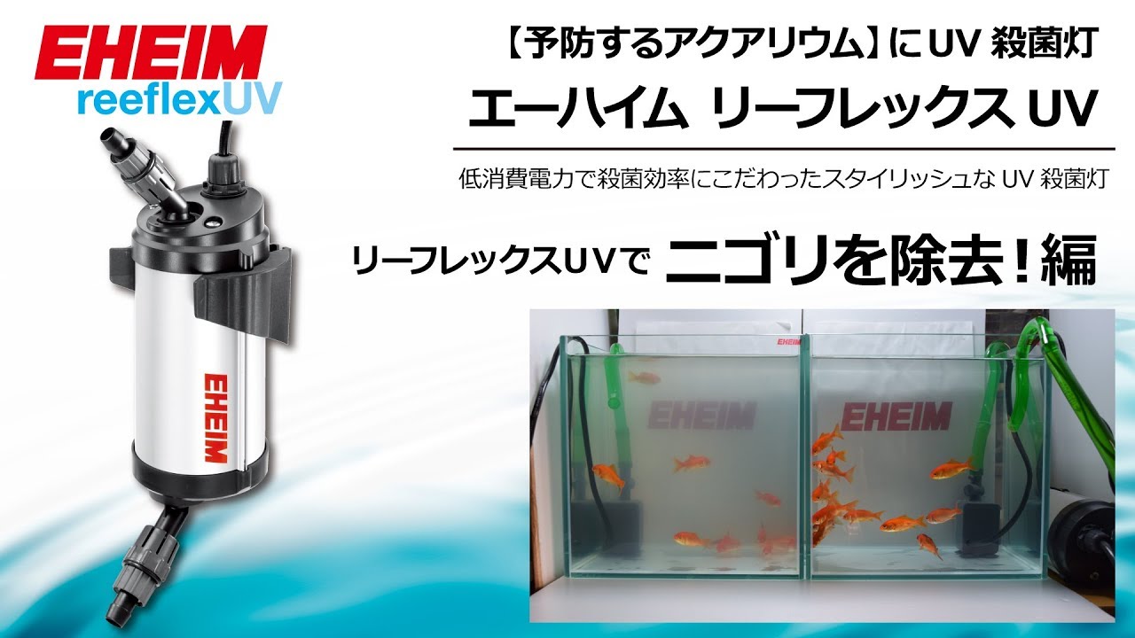 EHEIM｜エーハイム リーフレックスUV350UV殺菌灯 ｜ 外部式フィルター