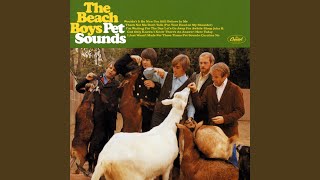 Pet Sounds': The Beach Boys' Masterpiece Explained