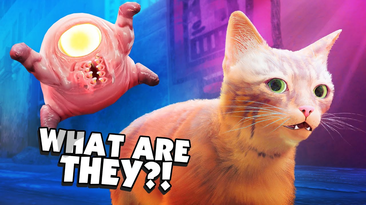 BB.Kong＞STRAY CATS UNRELEASED DEMO I Became a CAT and was Chased