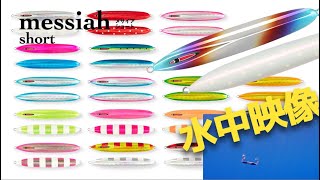 SFC MESSIAH SHORT – AMBERJACK : Offshore Fishing Select Shop