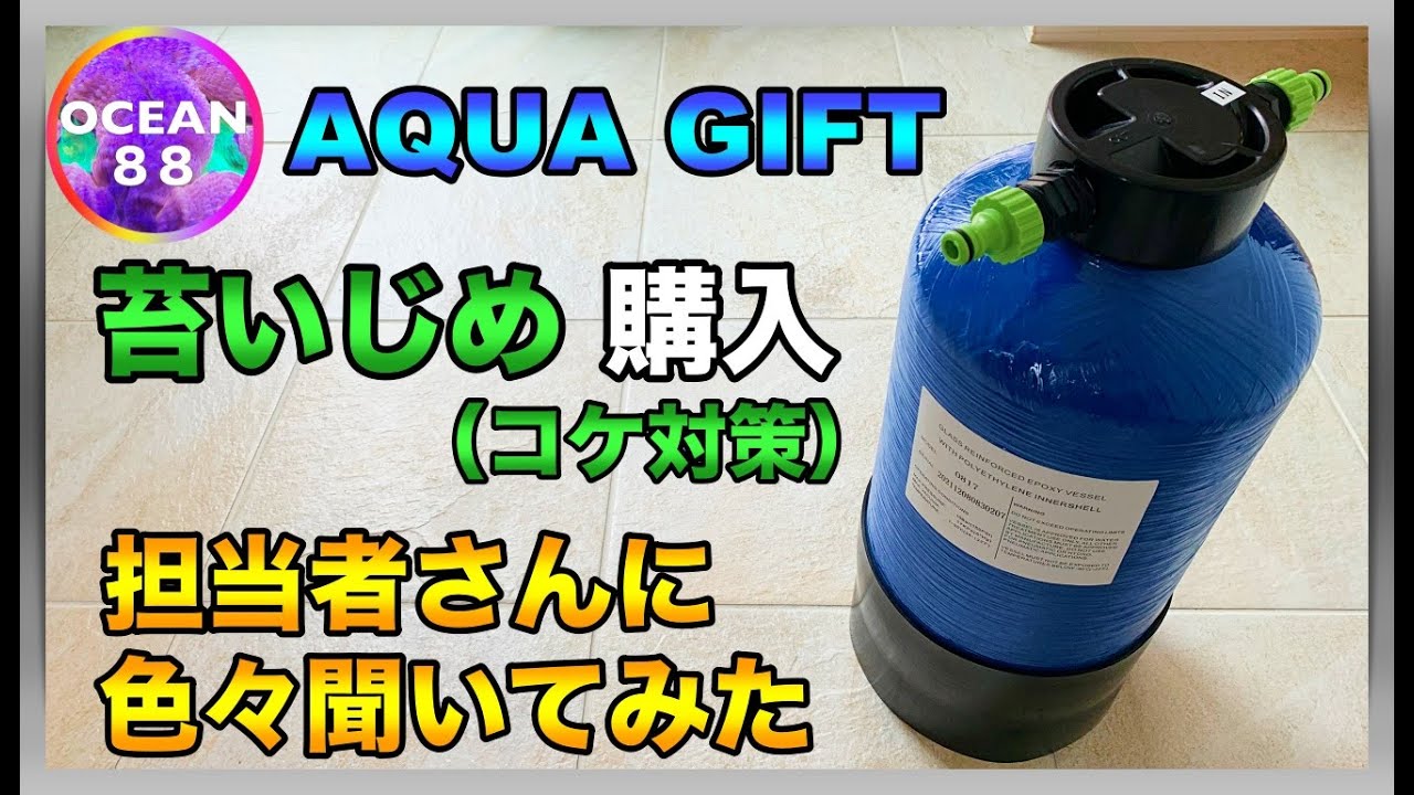 海水魚水槽・サンゴ水槽】アクアギフト苔いじめ購入（コケ対策）担当者