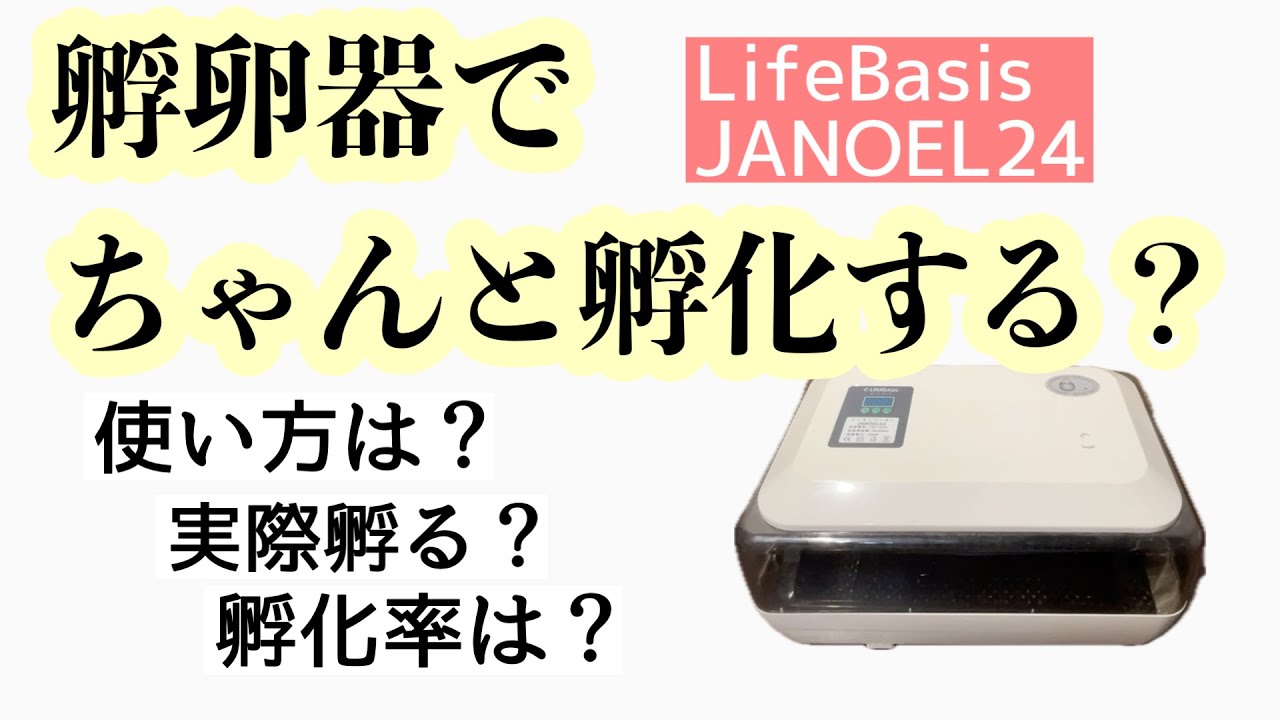 孵卵器】LifeBasisインキュベーターLANOEL24って実際どうなの？使って
