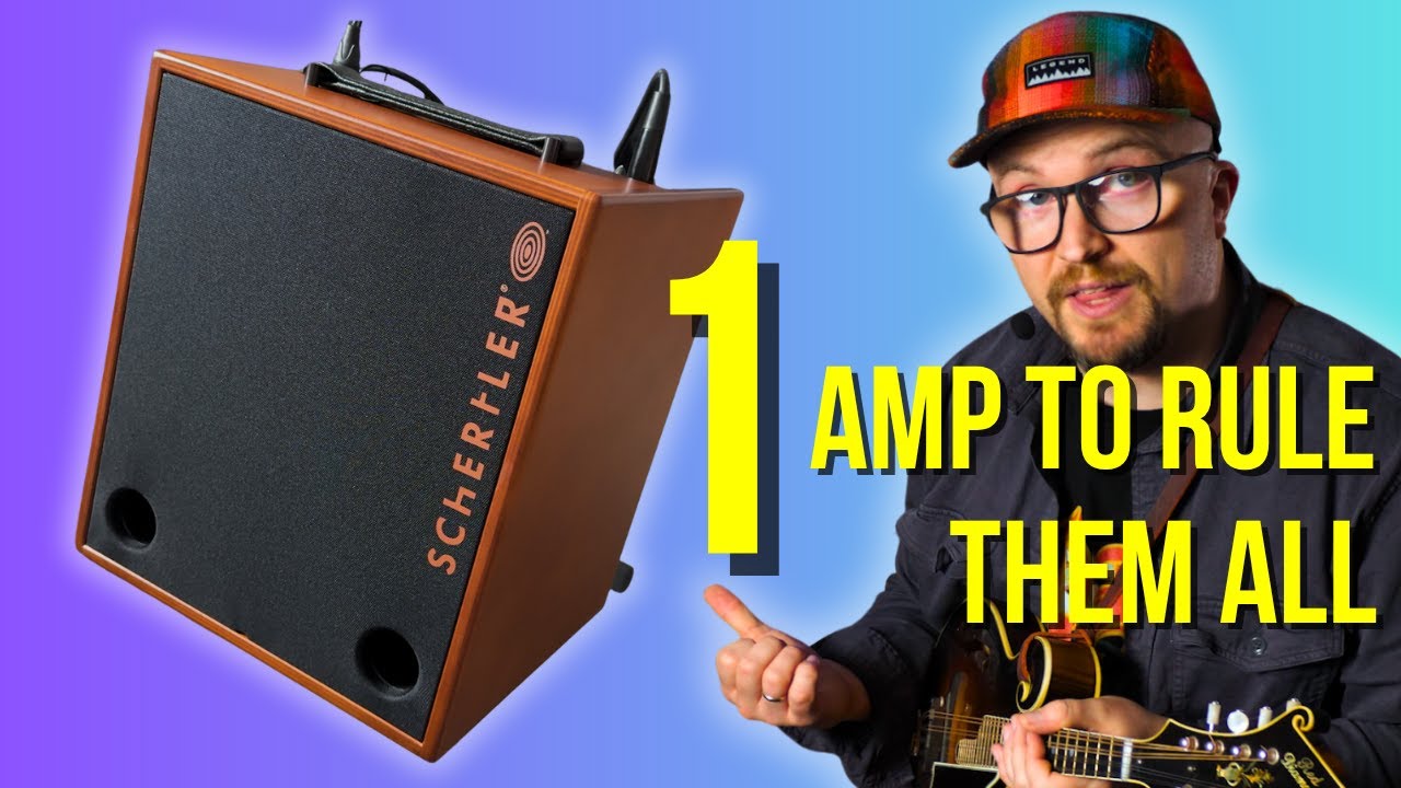 Guitar Pickup - Schertler DYN-G for acoustic guitar - AUDIO DEMO