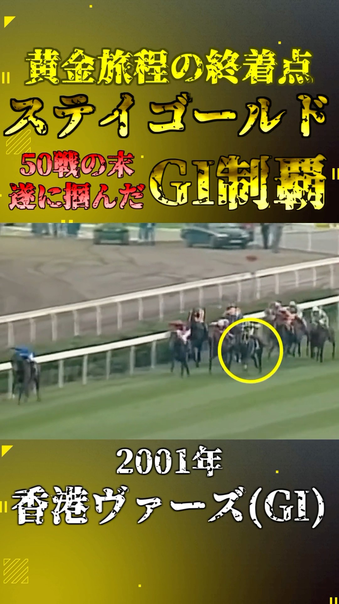 Stay Gold【2001 Hong Kong Vase(GI)】#horseracing #shorts