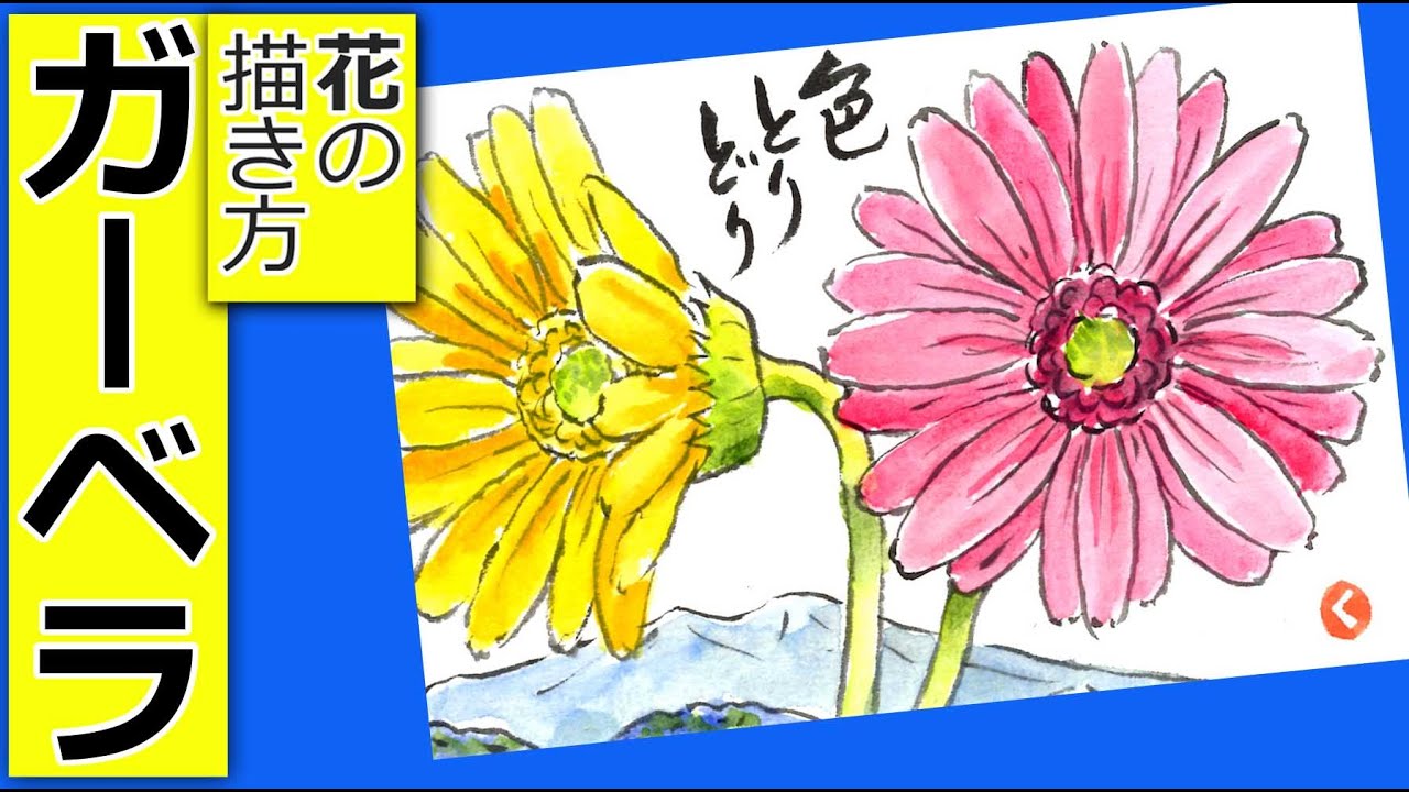 How to draw a gerbera flower 🌼│Gardening picture letter sketch