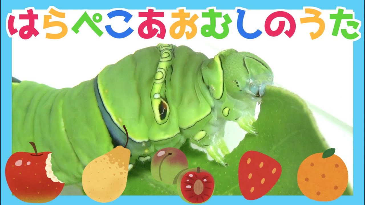 The Very Hungry Caterpillar song - YouTube