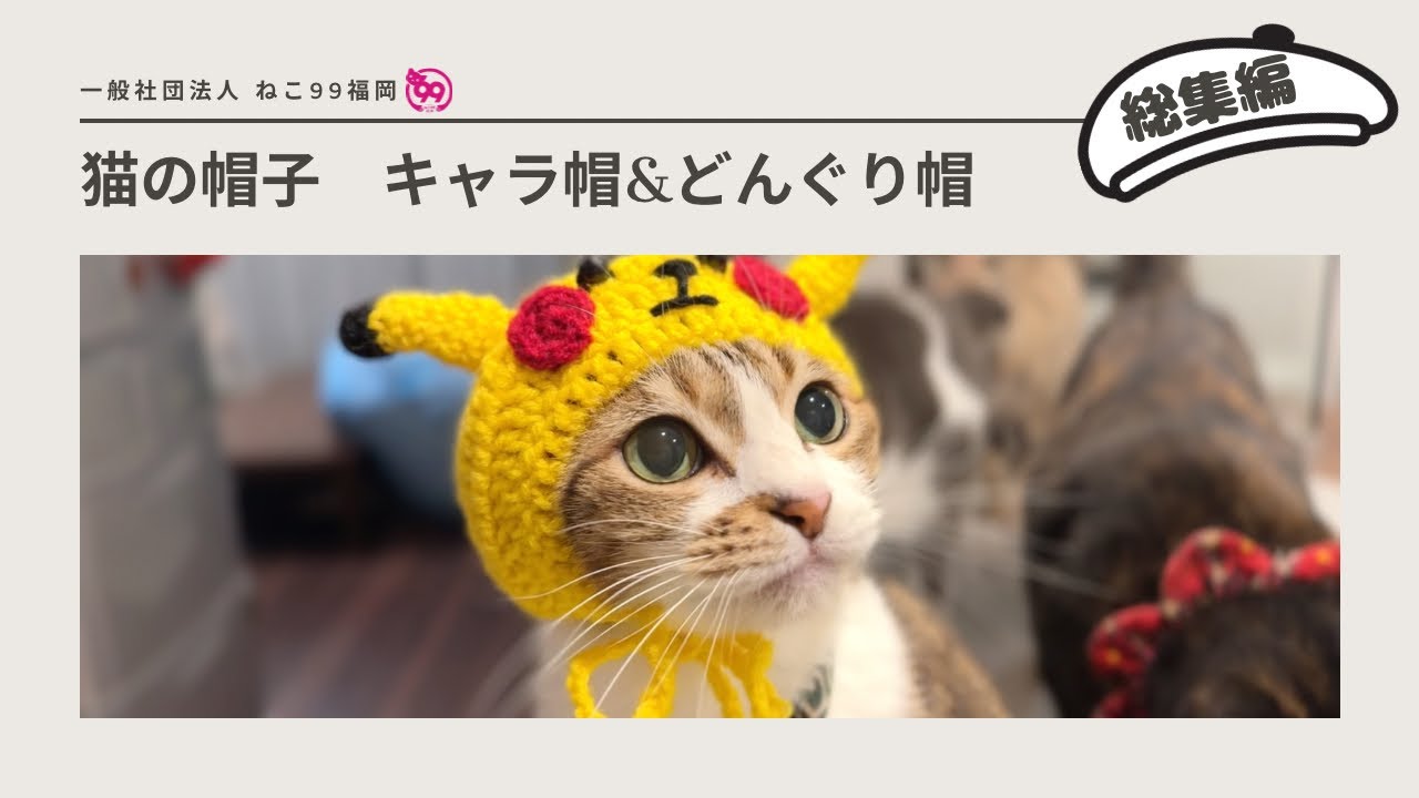 猫の帽子（総集編）キャラ帽&どんぐり帽 - YouTube