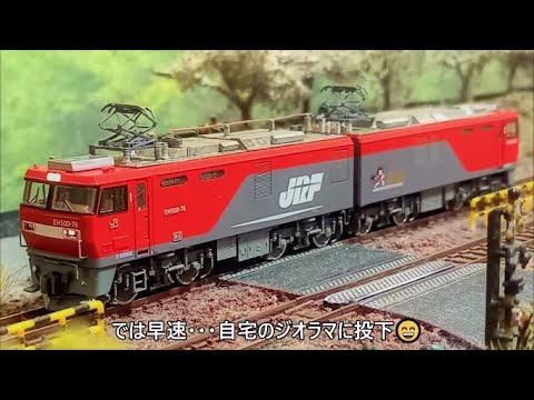 商品】JRFマークのある”新しい金太郎”【TOMIX JR EH500形電機機関車 (3