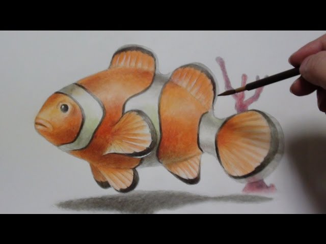 カクレクマノミClownfishトリックじゃない立体アート3D Art -Drawing