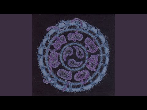 Evan Marc + Steve Hillage – Dreamtime Submersible | Releases | Discogs