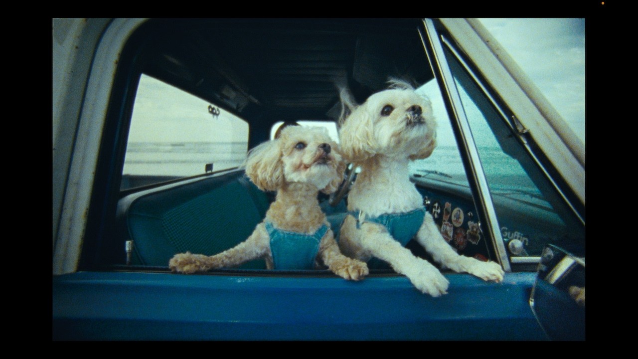 KAZ / T&W (Music Video) - YouTube