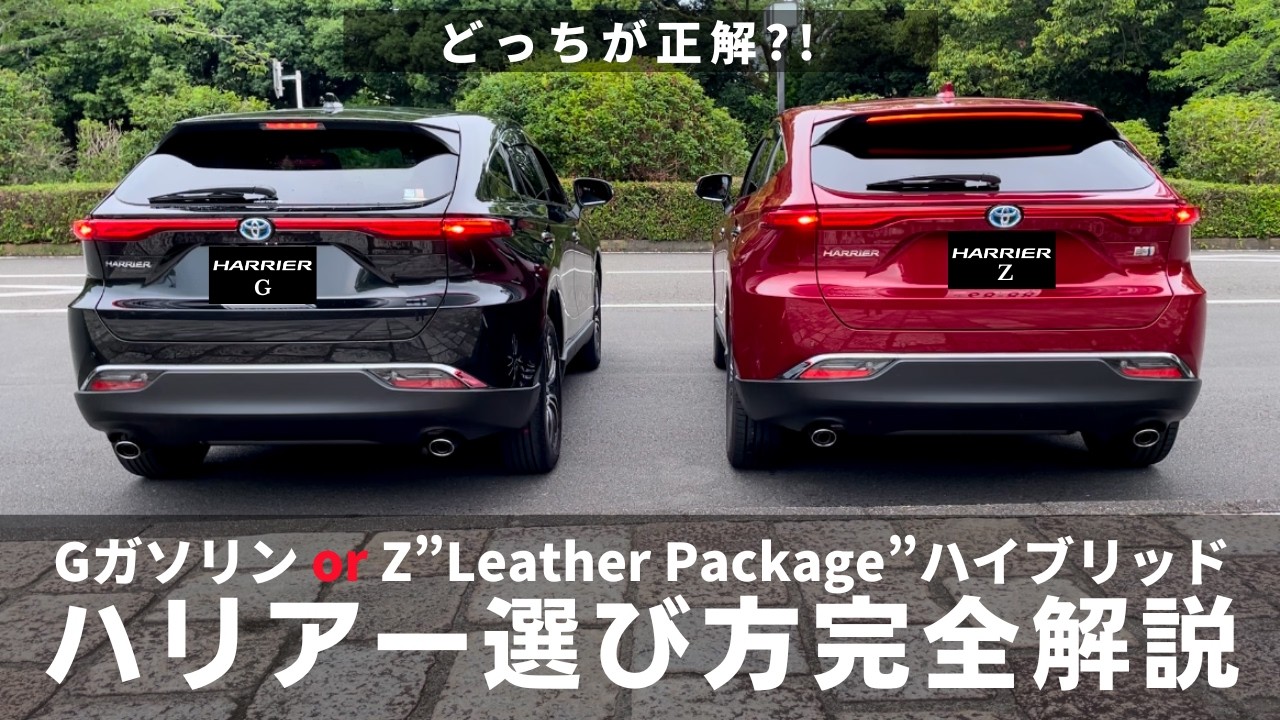 G Gasoline or Z Leather Package Hybrid?] A complete guide to