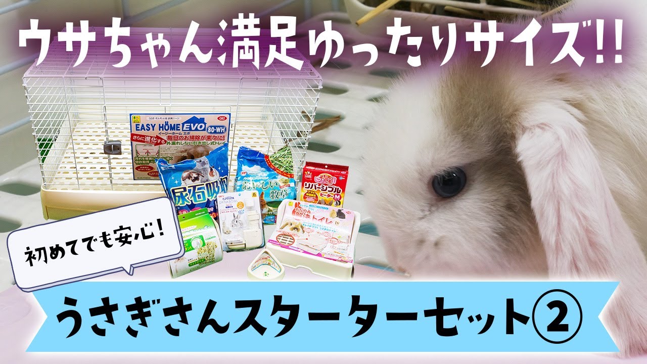 うさぎスターターセットのご紹介｜ valor-navi バローナビ