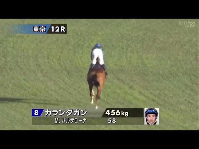 2025年第45回ジャパンカップ〔GⅠ〕本馬場入場 - YouTube
