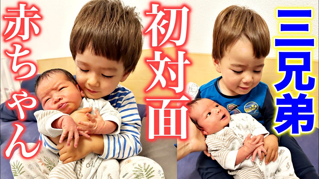Big brother meets baby brother for the first time! Japanese-Swiss