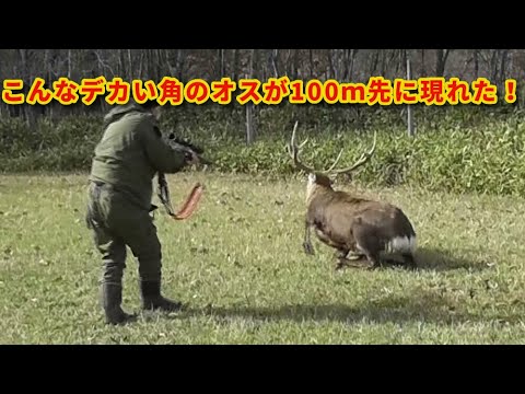 TJ from Tochigi Prefecture shoots three Ezo deer in a row and