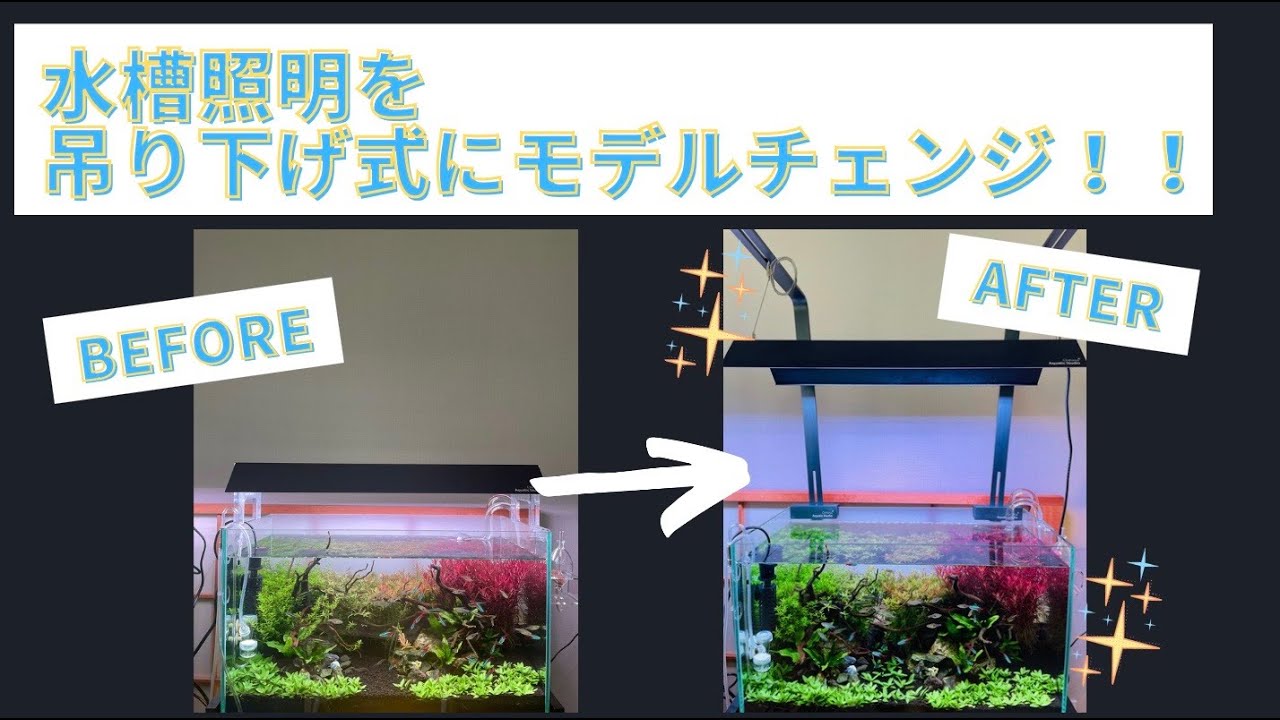 Aquarium] Aquarium Lighting Hanging Stand Debuts! Chihiros WRGB2