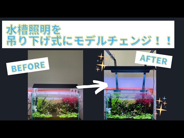Aquarium] Aquarium Lighting Hanging Stand Debuts! Chihiros WRGB2