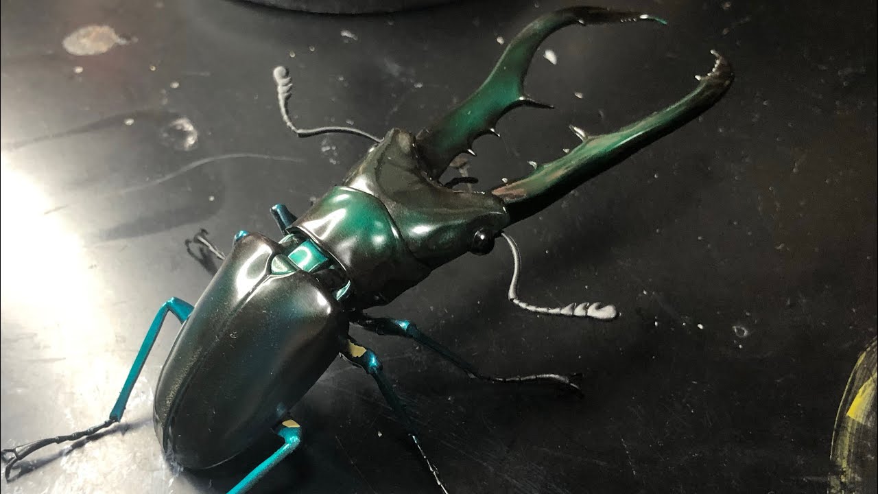 バンダイ いきもの大図鑑 くわがた04 メタリフェルホソアカクワガタ