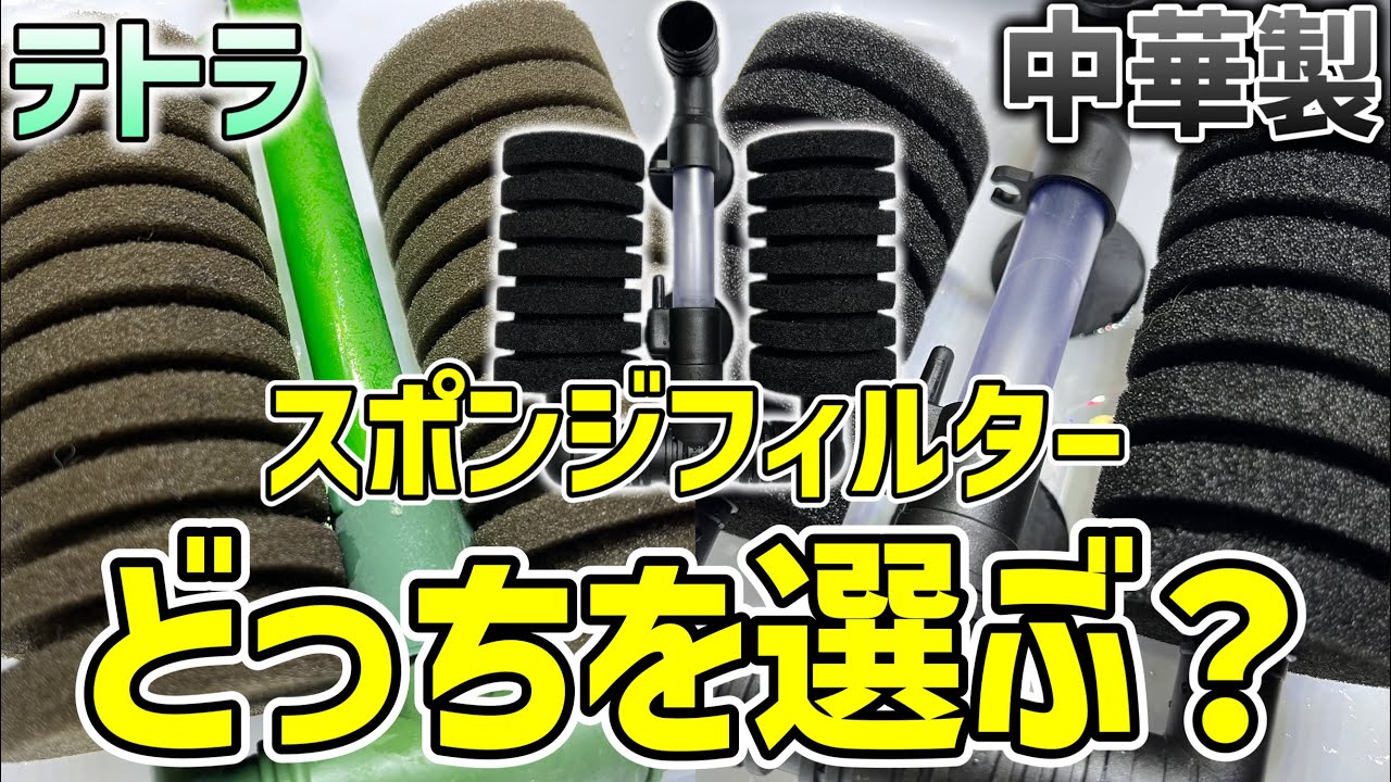 選ぶ時に見て！】徹底比較！テトラと中華製のスポンジフィルターって何