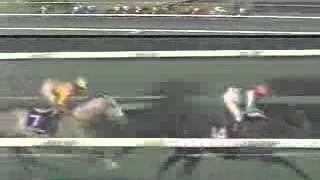 奇跡の復活 トウカイテイオー 1993第38回 有馬記念 - YouTube