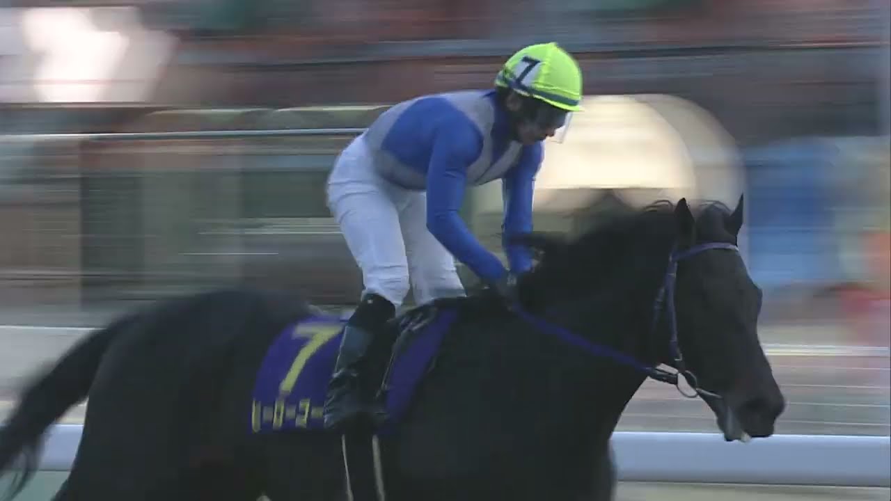 maxresdefault.jpg?sqp=-