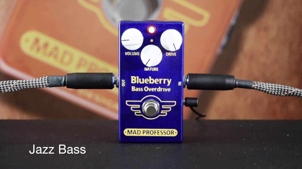 Blueberry Bass Overdrive | Mad Professor Amplification