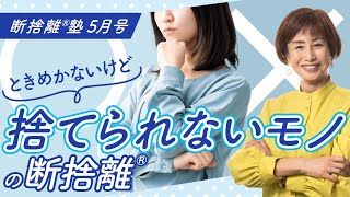 Danshari®︎ School May Issue: 