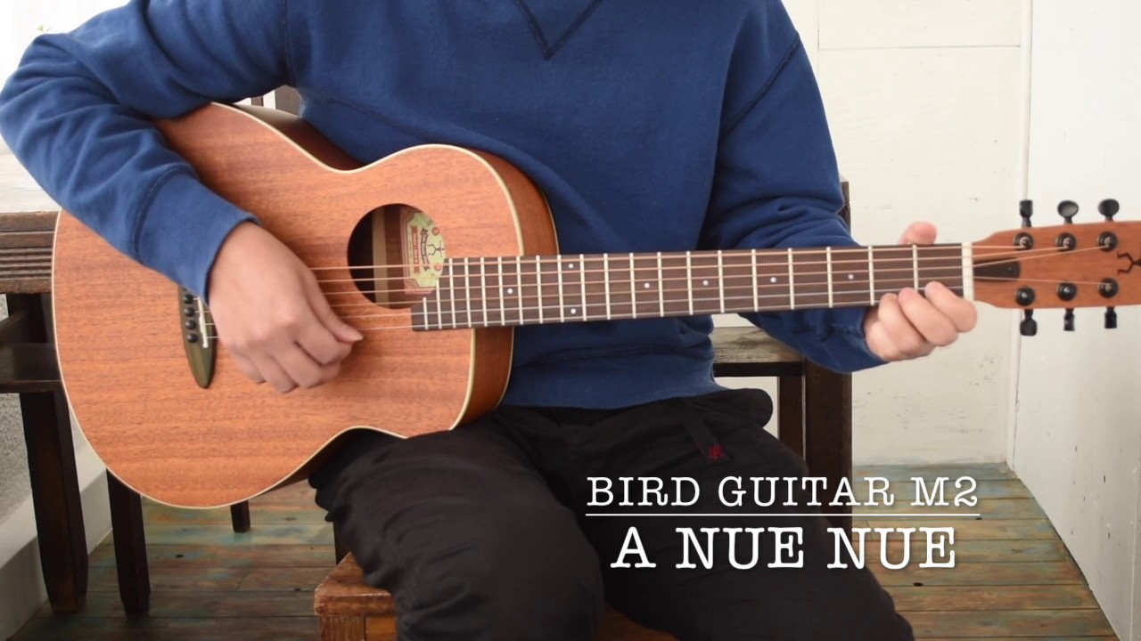 aNueNue / Bird Guitar M2 - YouTube