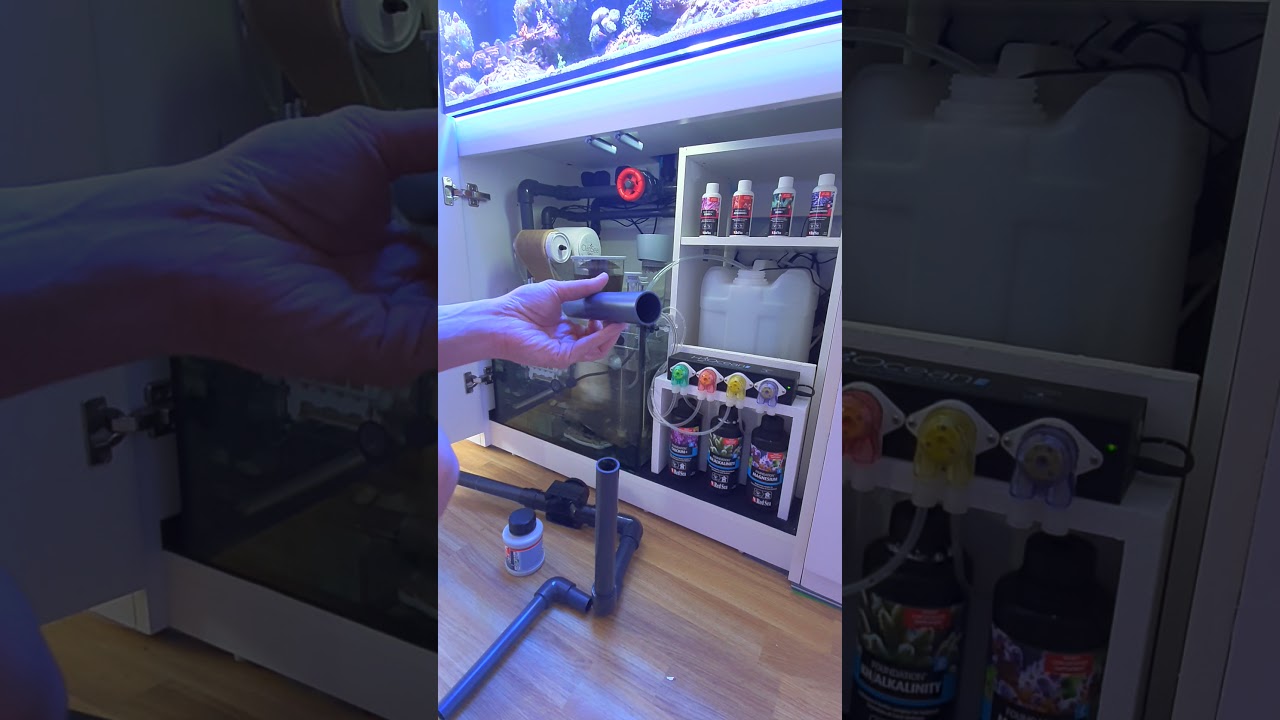 Red Sea Reefer 250 V3 Sump Setup - Clarisea SK3000 Installed - YouTube