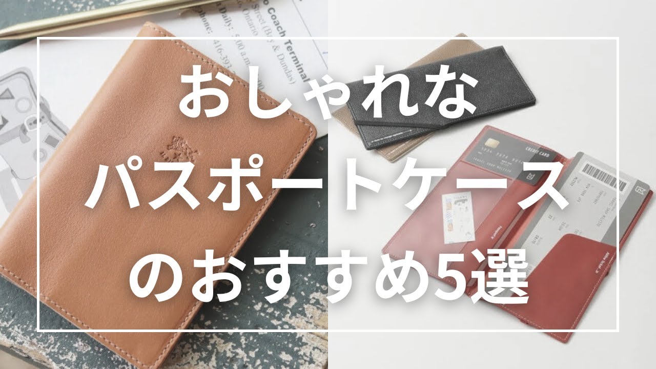 5 Recommended Stylish Passport Cases - YouTube