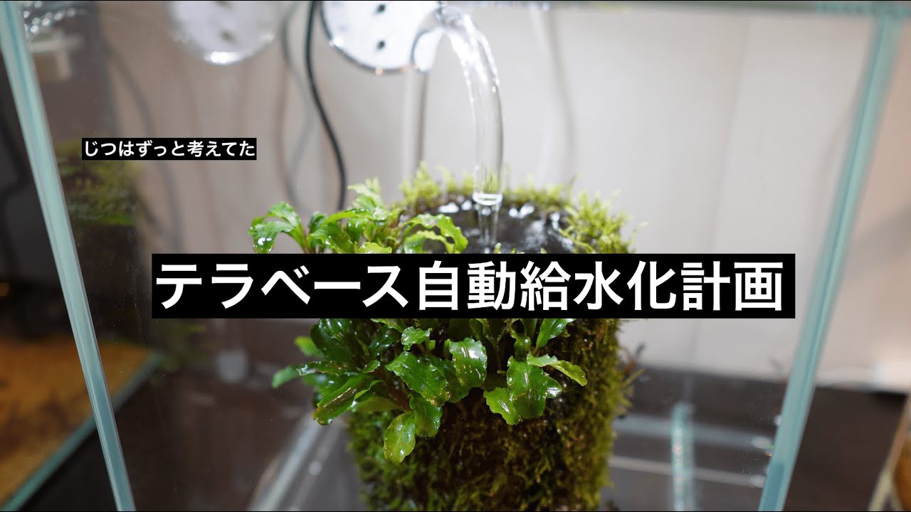 ADA ストリームポンプミニを使ってテラベースの給水を自動化した話