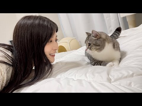 The first time a beautiful woman came to our house, the male cat