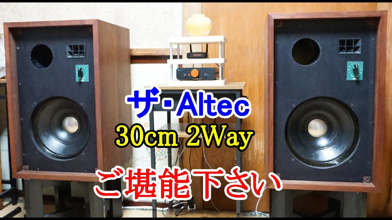 Enjoy the full Altec sound with this 30cm 2-way speaker system