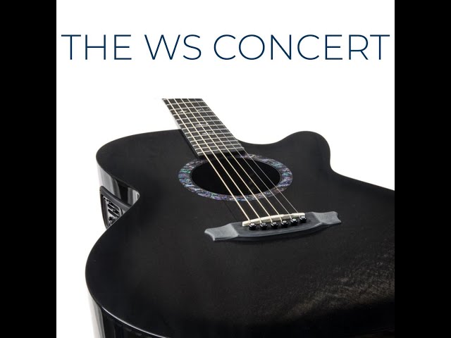 The RainSong WS Concert (CO-WS1000N2) - YouTube