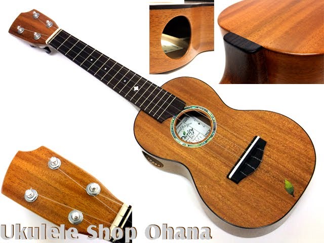 Purity Ukulele [Type-2] ソプラノロングネック [S2-011] ホンジュラス