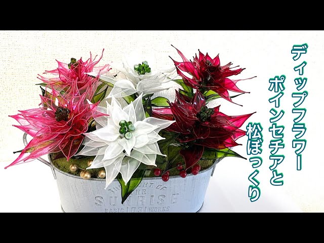 アメリカンフラワー ディップフラワー NO.193（ポインセチア・サマー