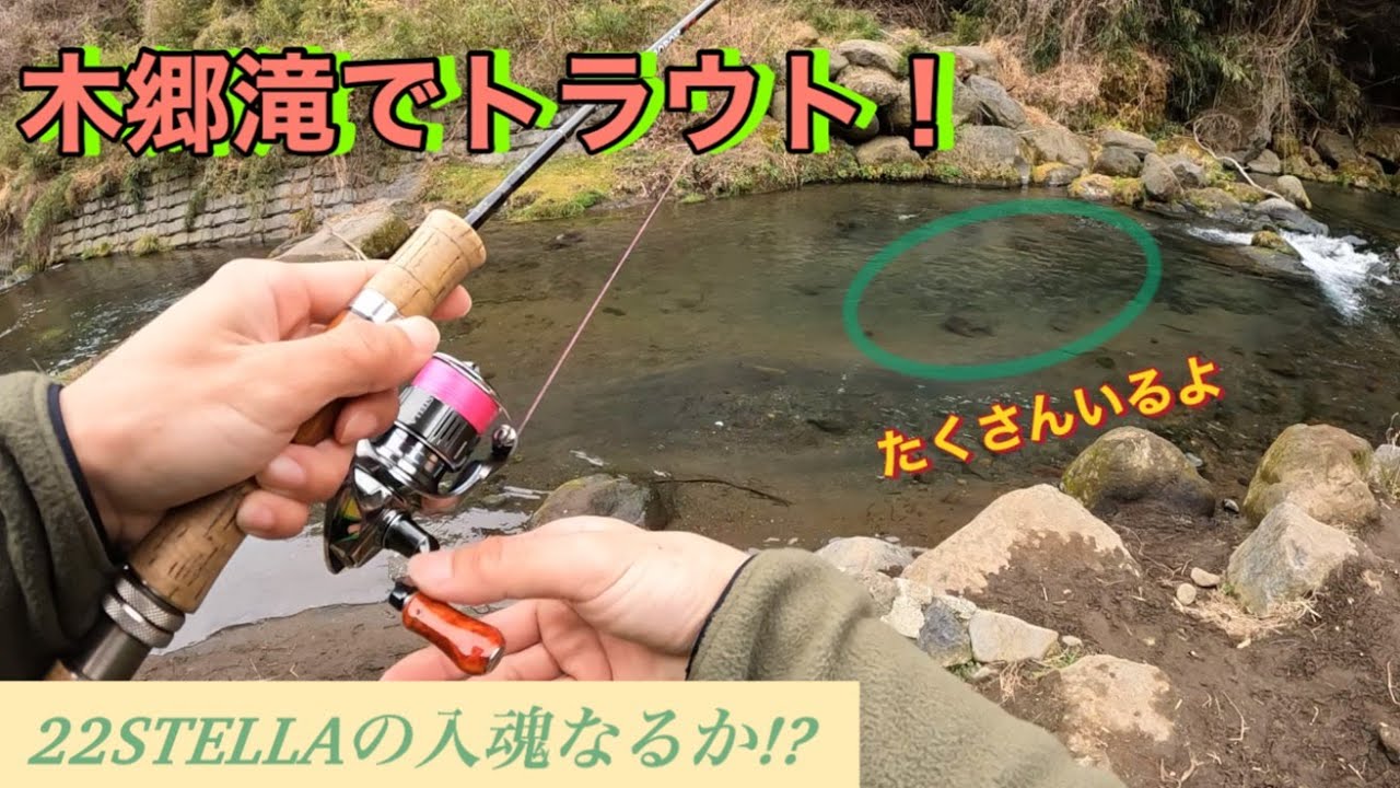 エリアトラウト】22ステラC2000SHGの入魂は木郷滝自然つりセンターで